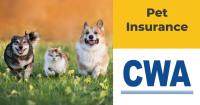 Union Plus Pet Insurance