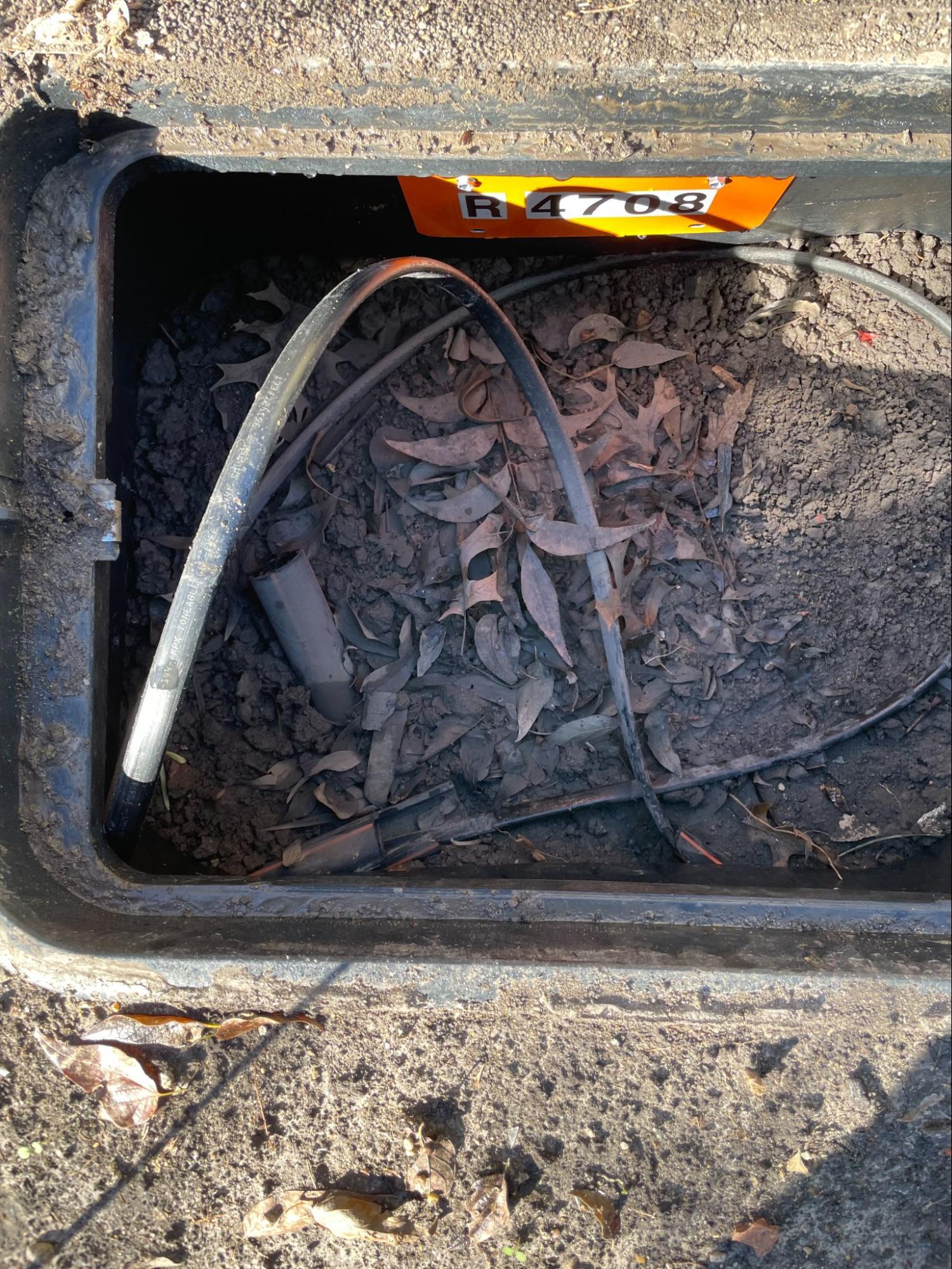 Mesquite, TX, November 2024